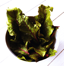 Rote Bete Blätter, Green Smoothie