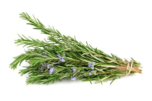 Rosmarin