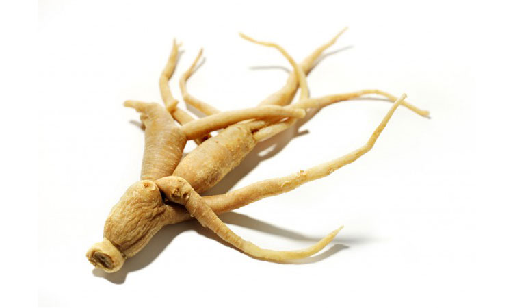 Ginseng