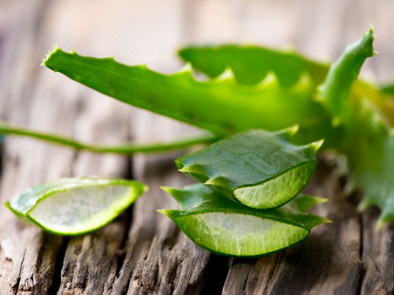 Aloe