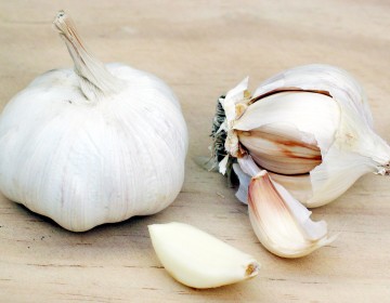 Knoblauch