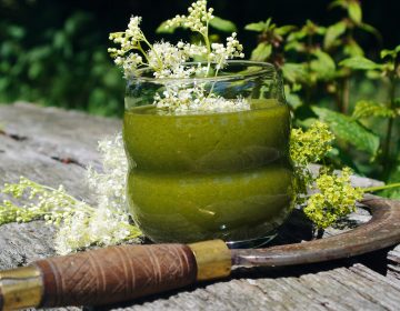 Die besten Tage - Heilpflanzen-Smoothies für Frauen