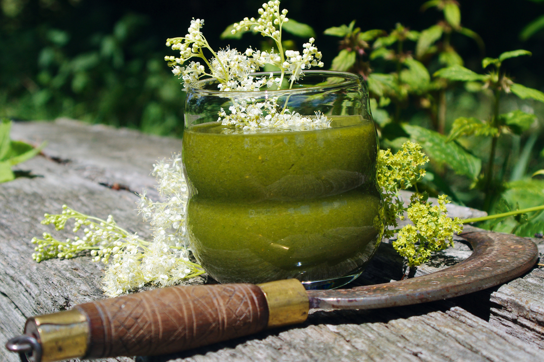 Die besten Tage - Heilpflanzen-Smoothies für Frauen