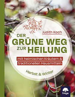 Judith Koch Der grüne Weg zur Heilung